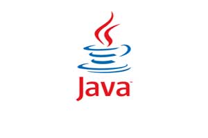 Java Language Course and Training Institute in Sangli